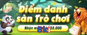 8ki